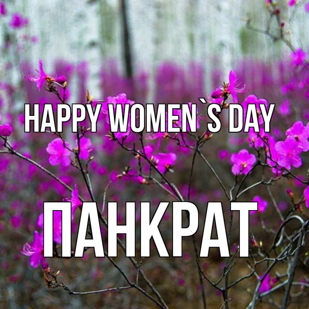 Greetings card с именем, Панкрат happy women`s day дикие цветы Greetings with text for free download 
